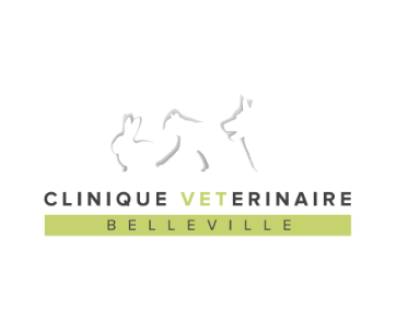 Clinique de belleville