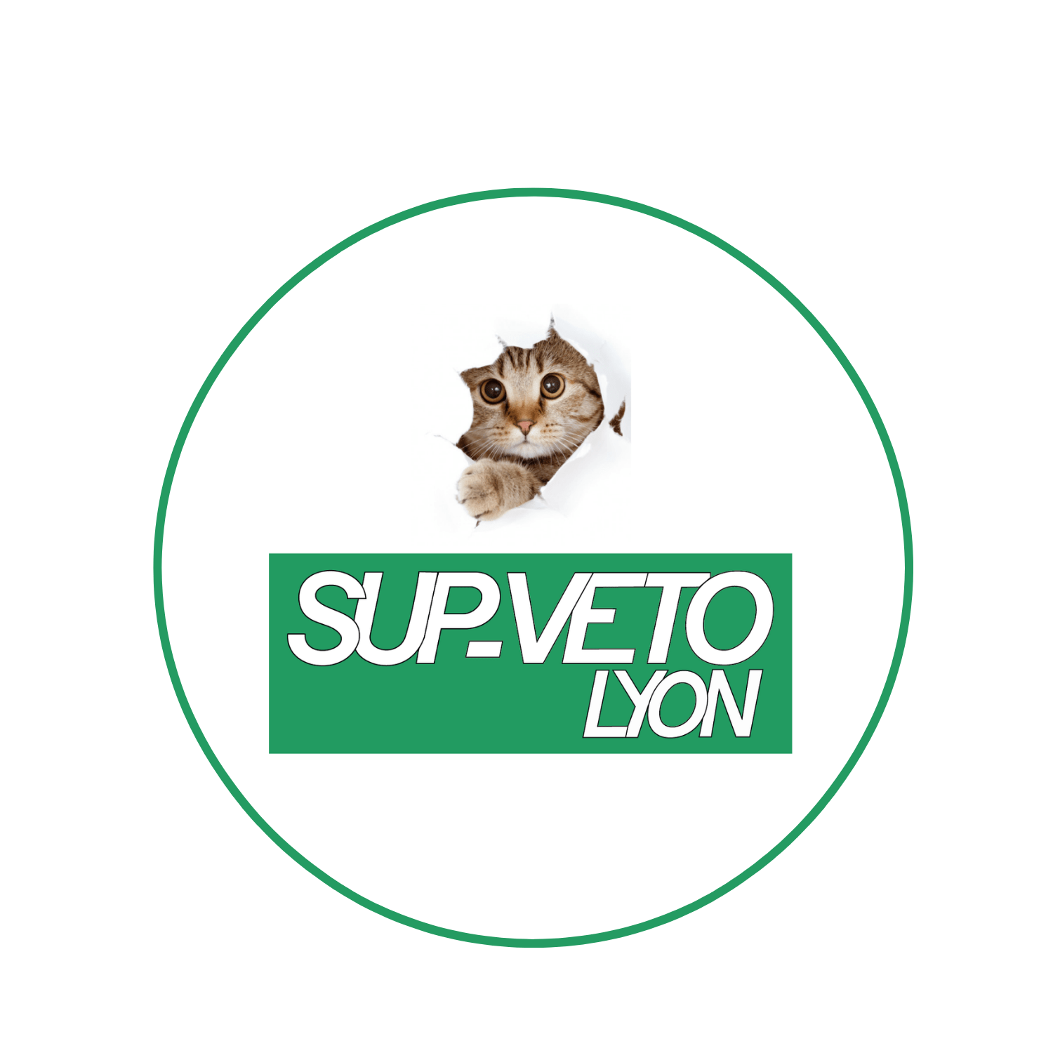 LOGO SUPVETO LYON