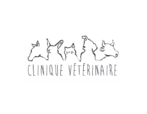 Clinique vétérinaire Albanais
