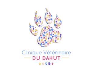 Clinique vétérinaire du Dahut