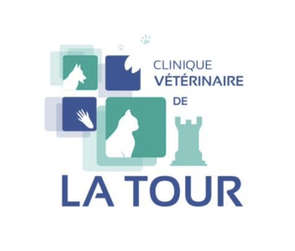 clinique de la tour - Tournon 07