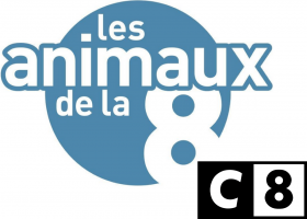 les animaux de la 8 - C8