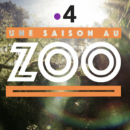 Une saison au Zoo - France 4